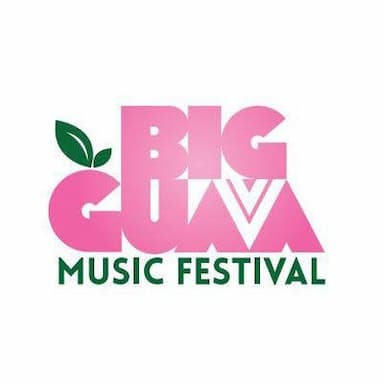 Big Guava Music Festival 2015