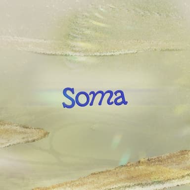 Soma Festival 2025