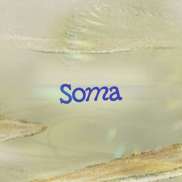 Soma Festival 2025