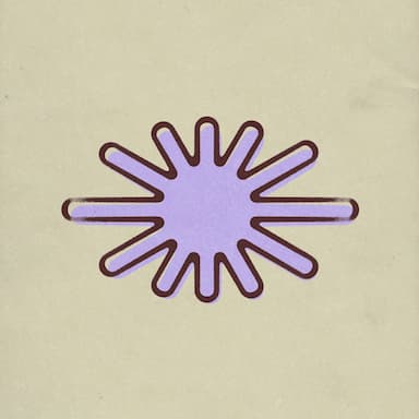 Sun Cycle NYD 2024